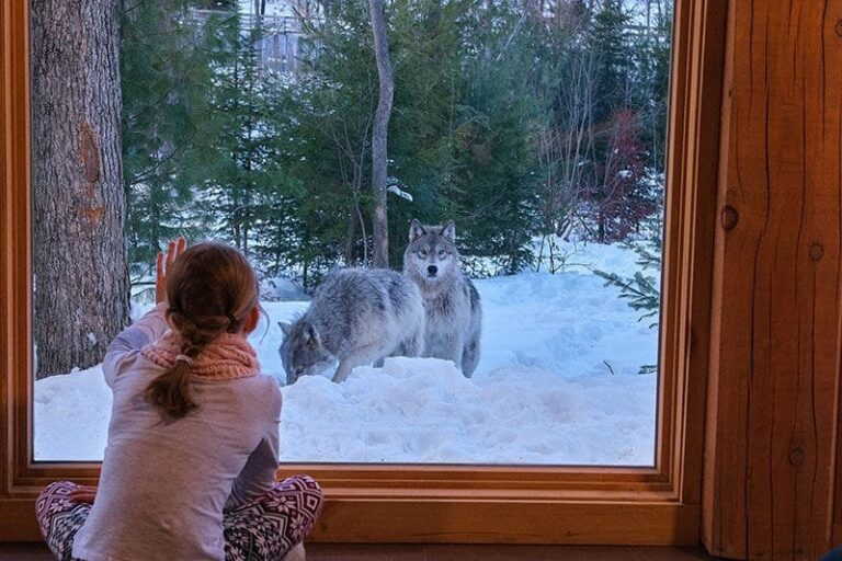 Los tres hoteles más raros de América