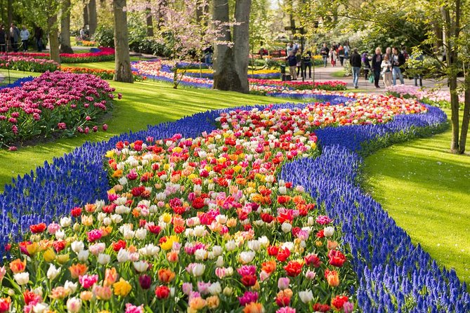 5 de las ciudades que más se visten de flores en el mundo