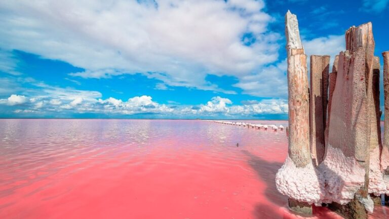 5 destinos con las rarezas naturales más asombrosas de mundo