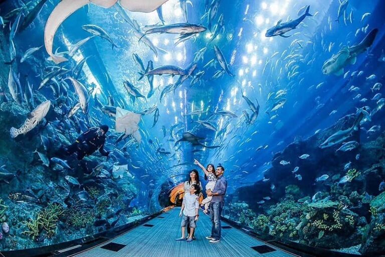 Así es el espectacular SeaWorld Abu Dhabi que abrirá en el 2023