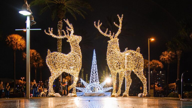 5 lugares de Florida donde ver una espectacular fiesta de luces de Navidad