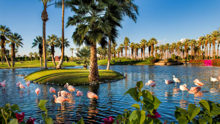 Escapada de bienestar: Los mejores balnearios de Palm Springs