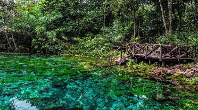 Brasil: 3 destinos naturales que te enamorarán