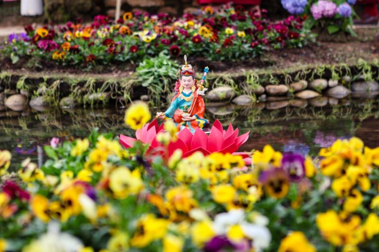 Escápate este mayo a la increíble Exposición Real de Flores de Bután