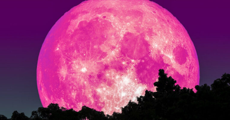 ¿Cuándo y dónde ver la Luna rosa, la primera luna llena de abril?