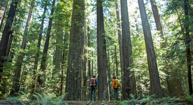 Las 10 Bellezas naturales de Estados Unidos