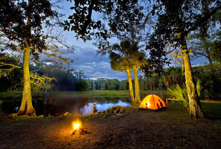 Florida: 10 de los mejores Parques Estatales para Camping y Relax