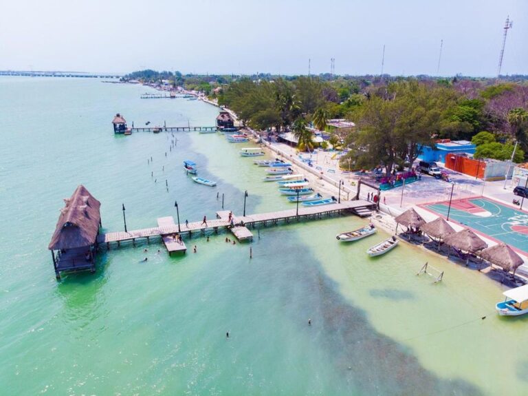 México: La isla con un santuario lleno de delfines que no te arrepentirás de visitar
