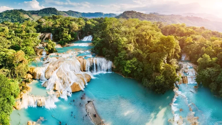 ¿Dónde se encuentra el pulmón natural más grande del mundo?