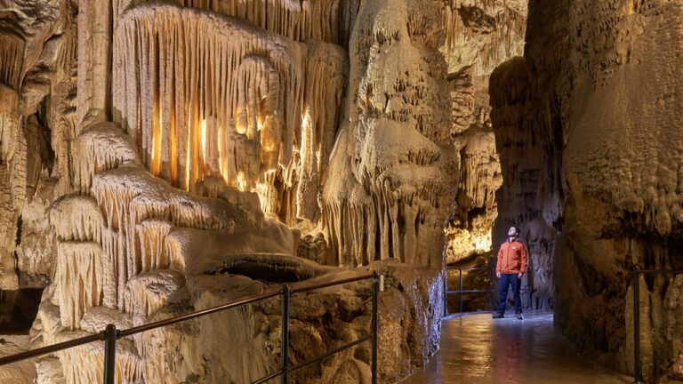 La Cueva de Postojna, la reina del mundo subterráneo