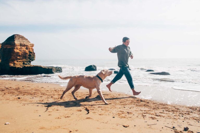 Vacaciones con mascotas: Las 7 mejores playas de EE.UU. aptas para perros