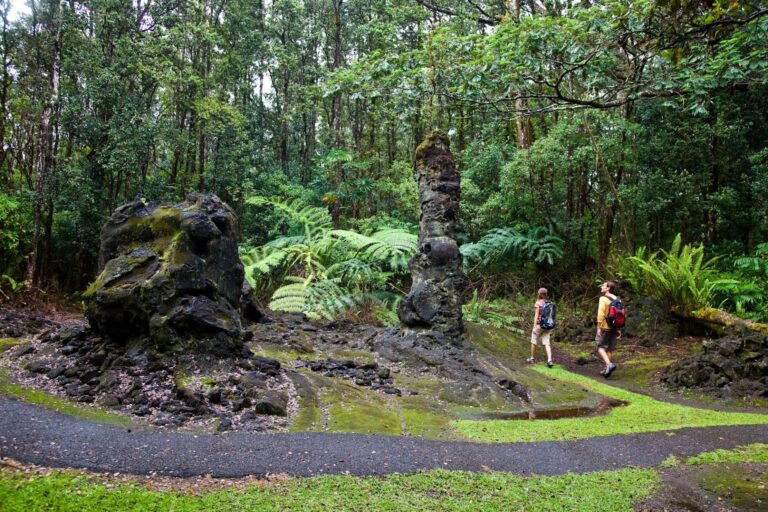 El único bosque de árboles de lava del mundo y todo lo que debes saber antes de visitarlo
