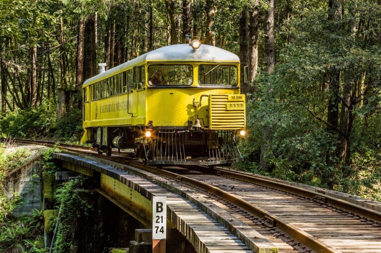 California: Descubre el bar secreto en el bosque de secuoyas al que solo puedes llegar en un tren antiguo