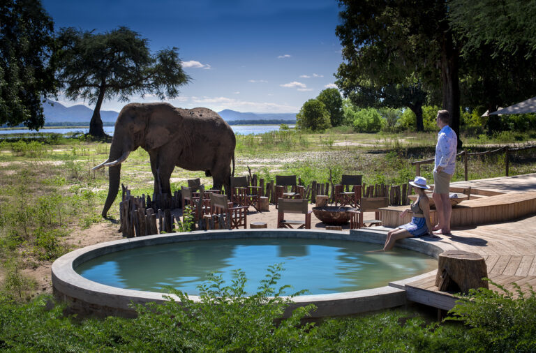 Safari de lujo: Experiencia única en un lugar declarado Patrimonio de la Humanidad por la Unesco