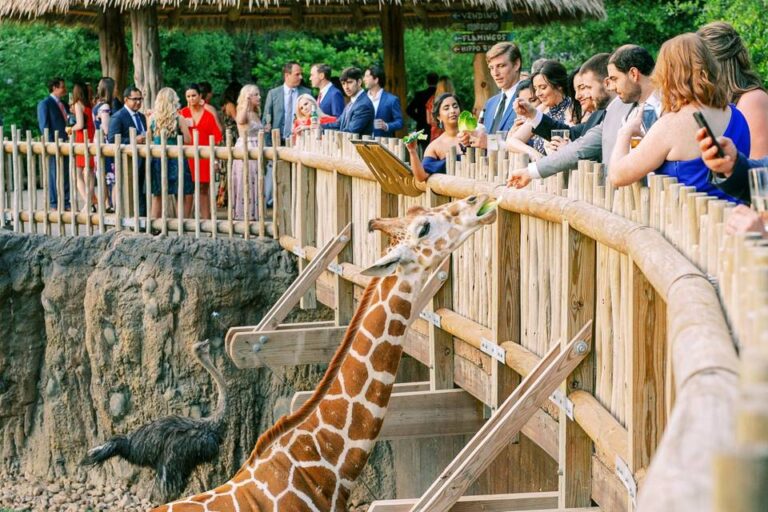 Estos son 10 de los mejores zoológicos de EE.UU.