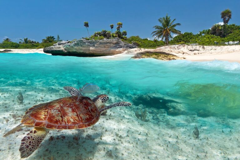 Así puedes disfrutar de un viaje de lujo a Yucatán, México