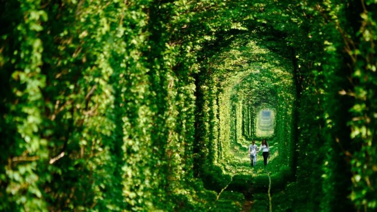 El túnel del Amor y su leyenda: ¿El lugar más rómantico del mundo?