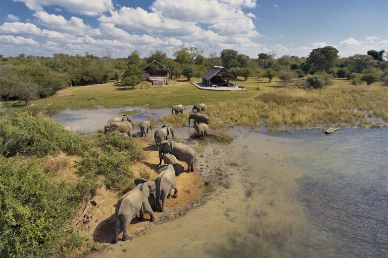 Conoce todo sobre el campamento de safari de lujo en el Parque Nacional Kafue de Zambia