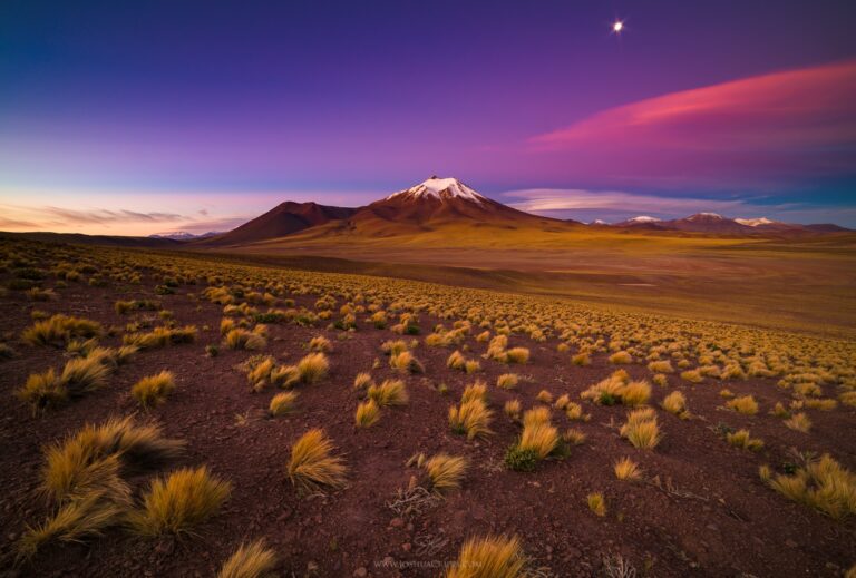 10 datos fascinantes sobre Atacama: El desierto más árido del mundo