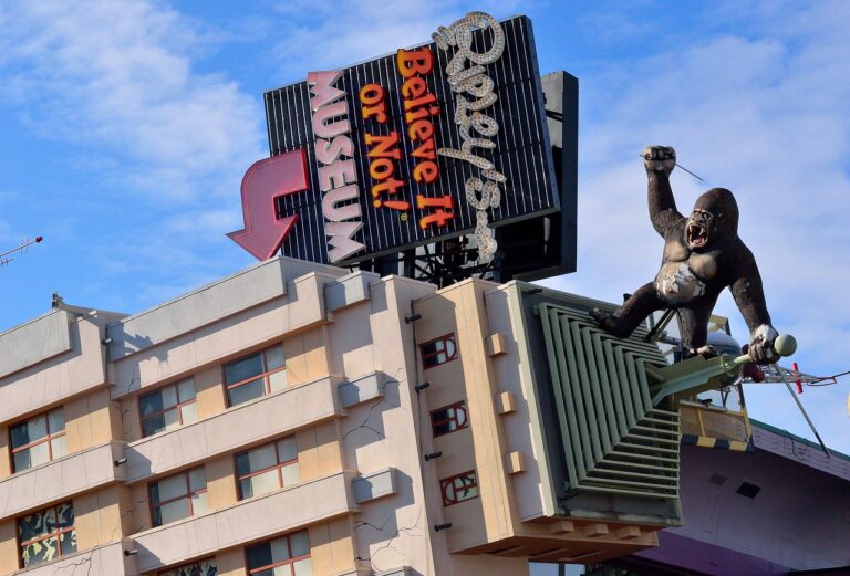 Descubre los 5 Museos Más raros de la Ciudad de México