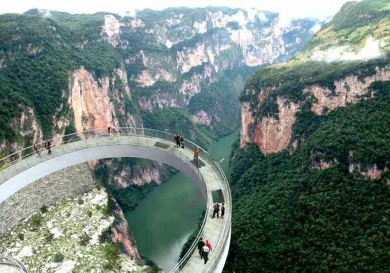 7 Parques Nacionales en México con la experiencia de vida silvestre más increíble