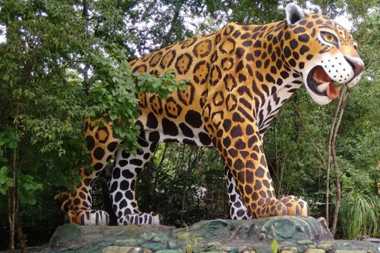 5 zoológicos de México que no debes dejar de visitar