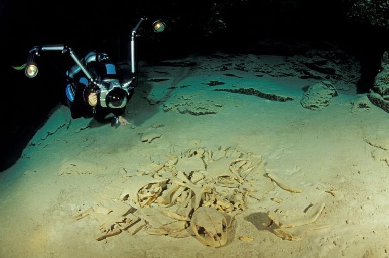 La isla de Malasia donde puedes visitar un cementerio de tortugas bajo el mar