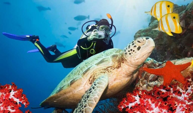 Los 7 mejores destinos del mundo para bucear