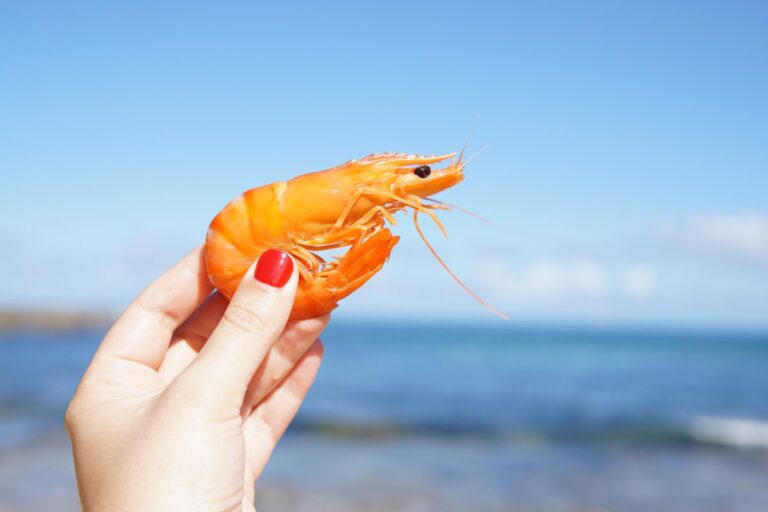Las 5 playas de México con los mariscos más deliciosos