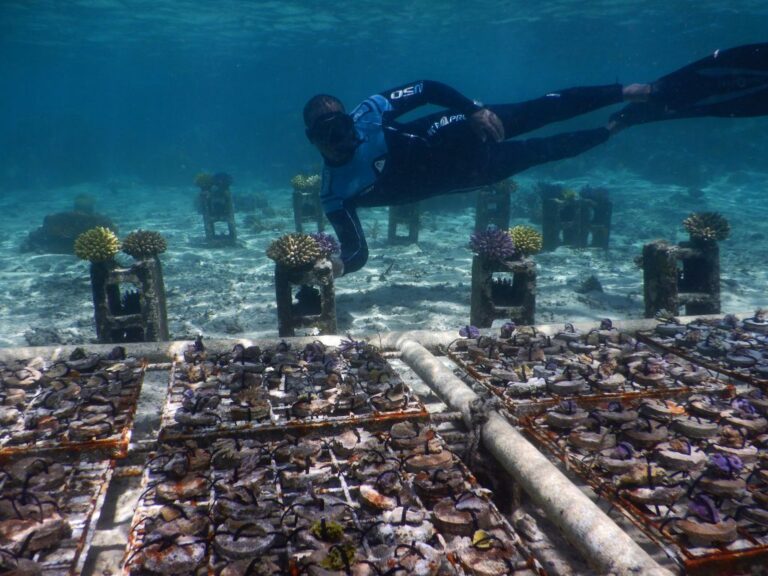 Los 5 destinos de submarinismo más infravalorados del mundo