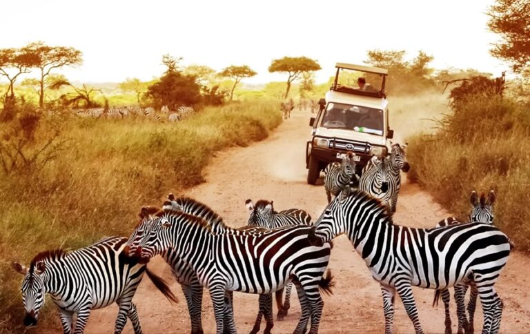 5 lugares de África que todo aventurero debería visitar
