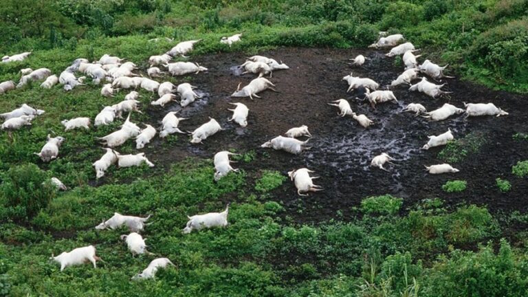 Los Lagos Más Peligrosos del Mundo: Una Aventura con Riesgo