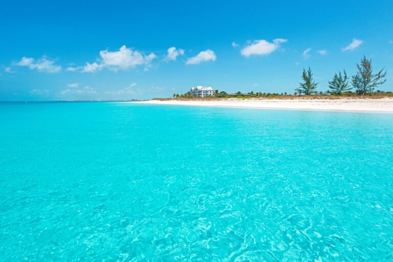 5 Playas Paradisíacas del Mundo Donde Puedes Nadar sin Temor a Tiburones