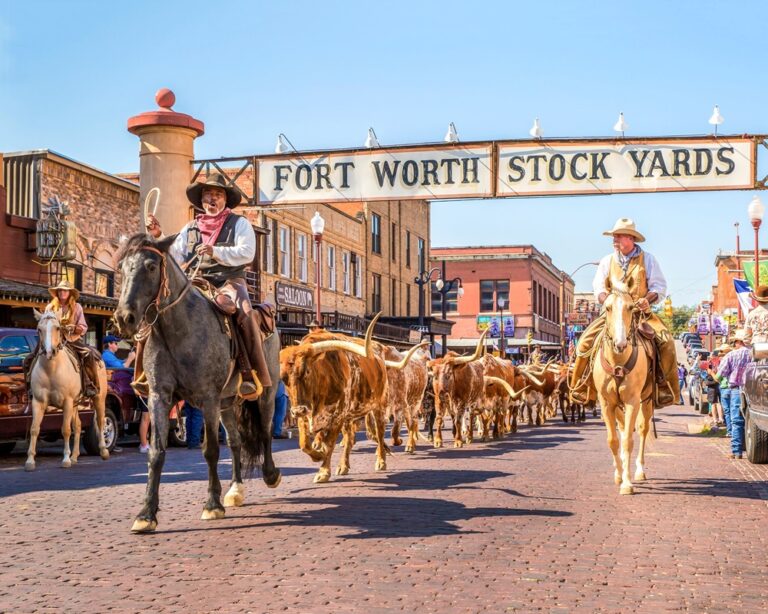 Estados Unidos: 5 destinos para los amantes de los rodeos