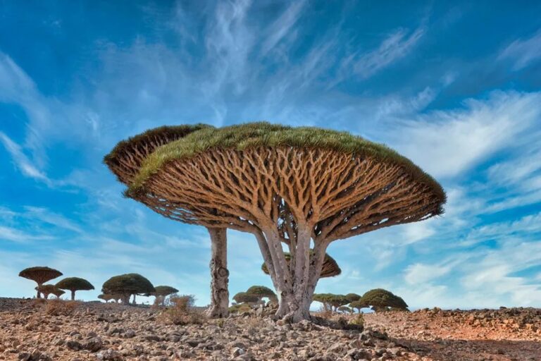 Los 10 destinos más exóticos del mundo: ¡Lugares que parecen de otro planeta!