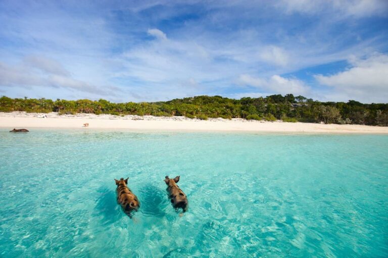 5 islas más exóticas del Caribe: Escapadas tropicales fuera de lo común