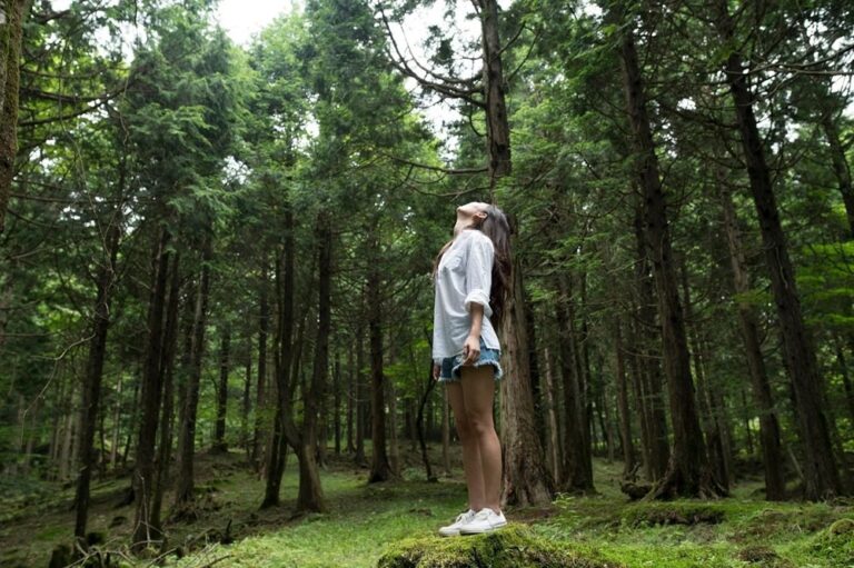 Los países más inspiradores para el bienestar: Escapadas para revitalizar cuerpo y mente