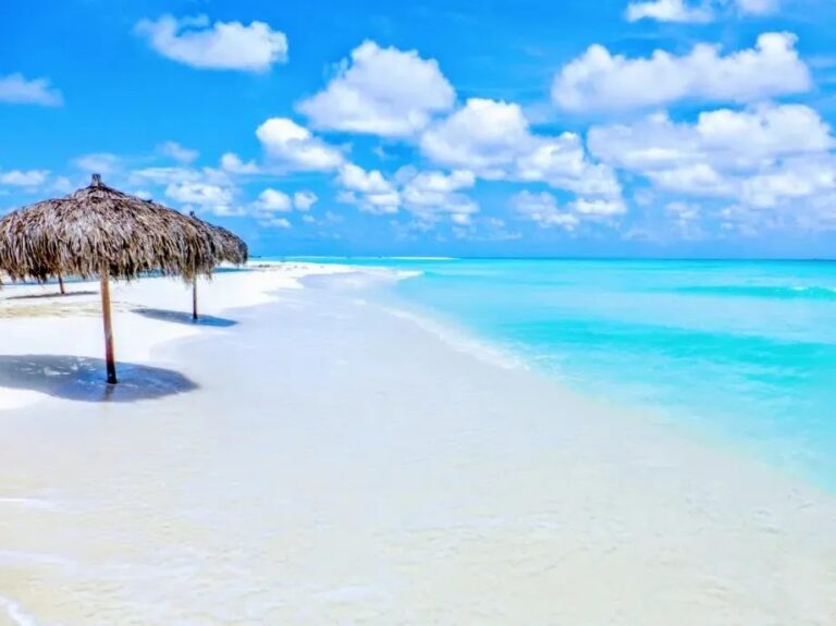 Las Mejores Escapadas a los Cayos de Florida: Playas, Aventuras y Naturaleza
