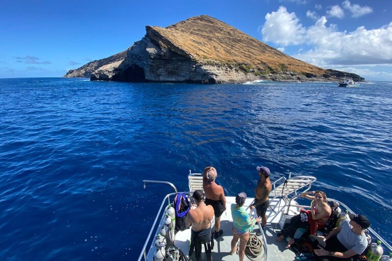 Cómo visitar Niihau, la isla «prohibida» de Hawái