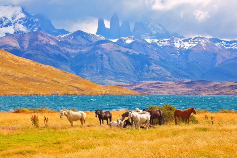 Los 5 Lugares Más Fascinantes para Acampar en Latinoamérica