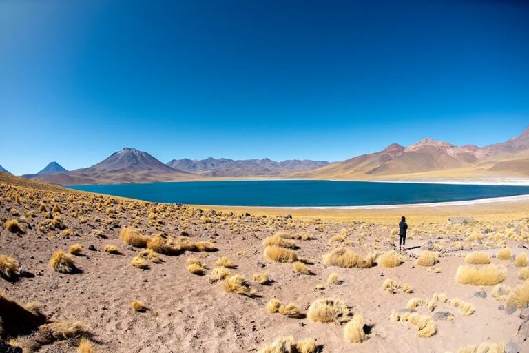 ¿Dónde Viajar si Buscas Desconectarte de Todo (Y Todos)?
