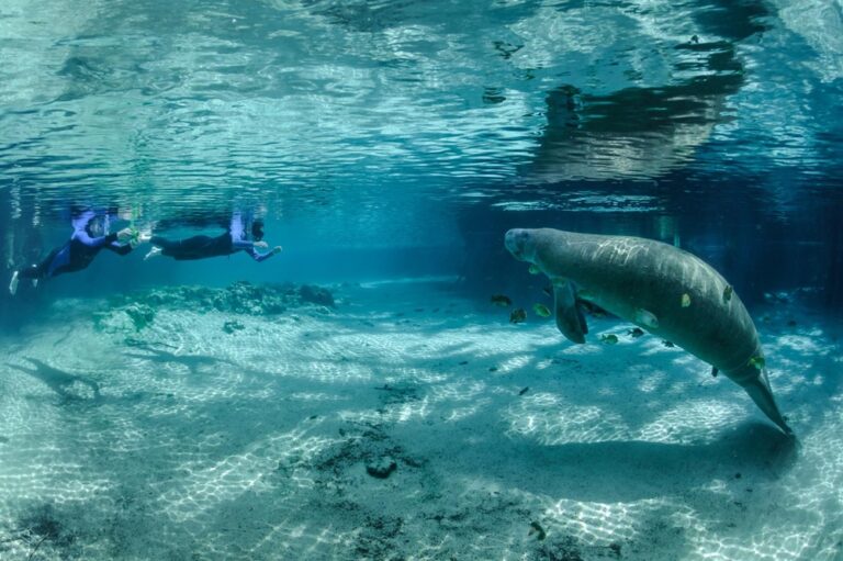 ¿Cuáles son los 7 Destinos Subestimados para el Verano 2025?