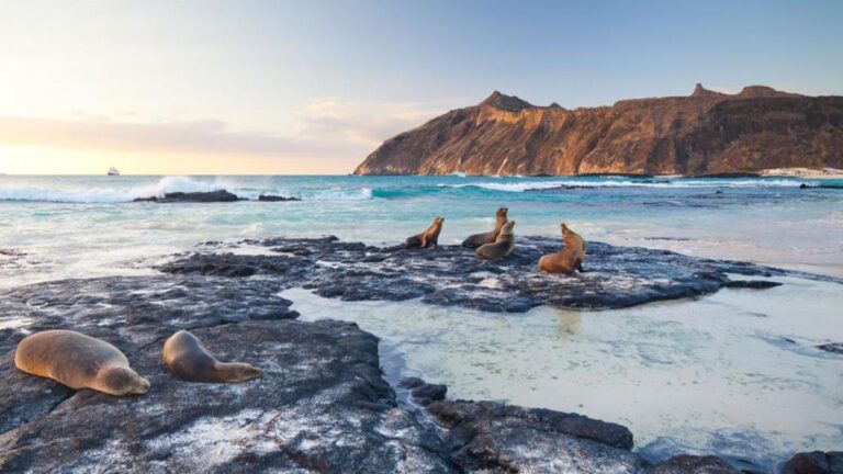 5 Lugares para Encuentros Increíbles con la Vida Salvaje