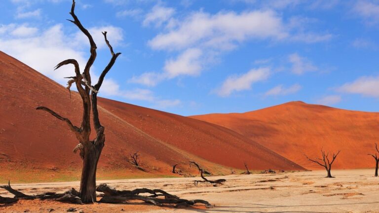 Los desiertos remotos con dunas que inspiran aventuras épicas