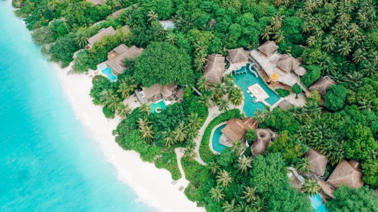 Los 5 mejores eco-resorts con huertos orgánicos y tours de conservación de fauna local