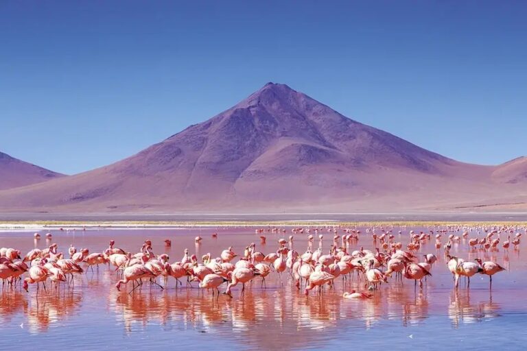 Los 5 destinos imperdibles de naturaleza en Sudamérica en el 2026