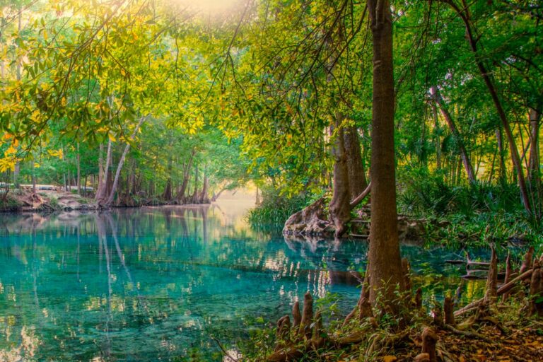 Los 5 parques nacionales de Estados Unidos perfectos para un primer viaje de naturaleza desde Miami en el 2026