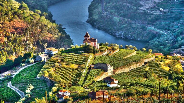 Los 5 mejores destinos de Europa para amantes del vino en el 2026