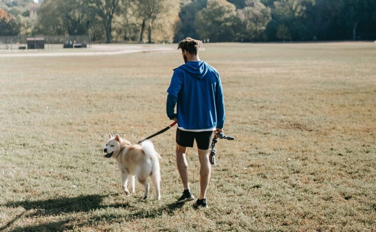 Los 5 destinos del 2026 para viajar con mascota sin complicarte