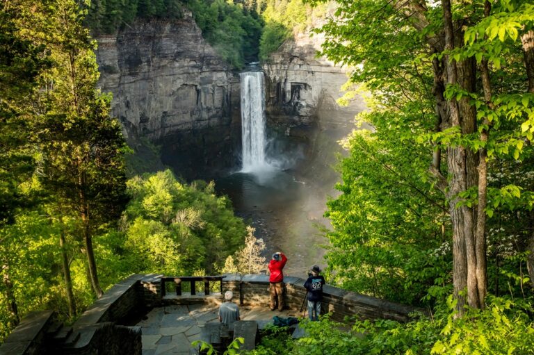 Los 5 retiros de naturaleza en Norteamérica donde puedes desconectar sin ir a un retiro espiritual
